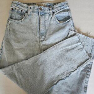 Abercrombie & Fitch 90s Straight Ultra High Rise Curve Love Jeans 29 Light Wash